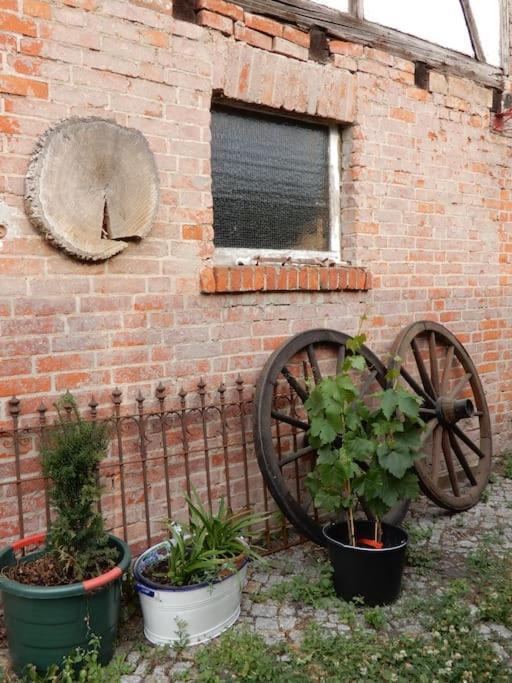 Laendliches Wohnen Zwischen Erfurt Und Gotha Apartamento Exterior foto