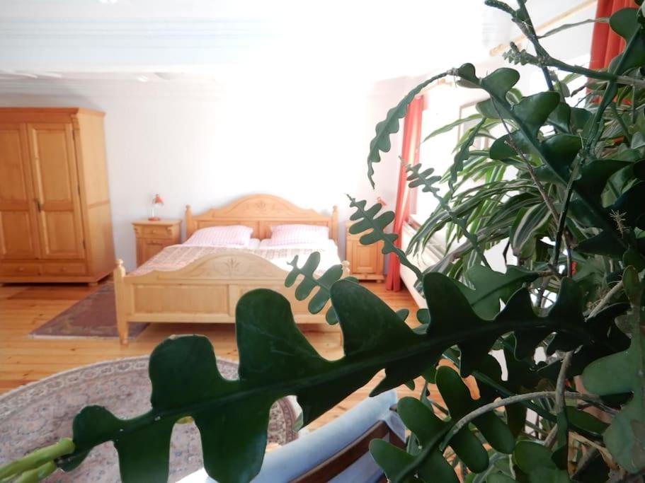 Laendliches Wohnen Zwischen Erfurt Und Gotha Apartamento Exterior foto