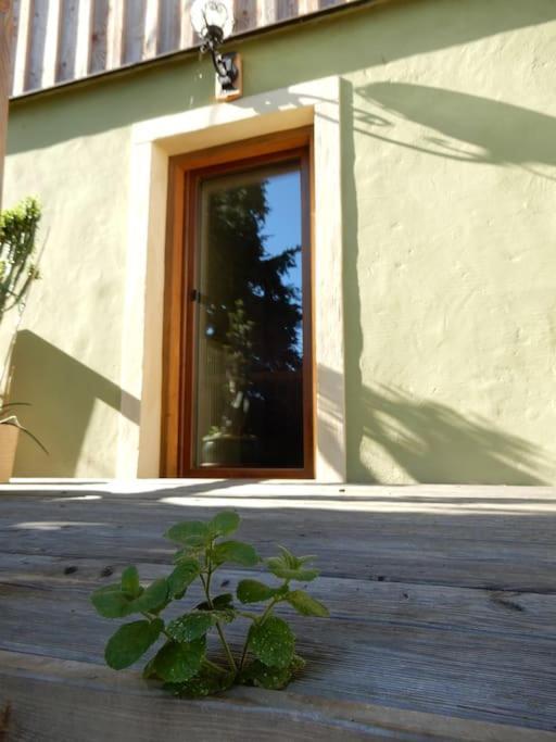 Laendliches Wohnen Zwischen Erfurt Und Gotha Apartamento Exterior foto